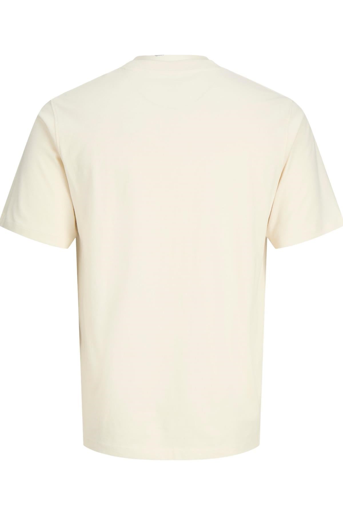 Jack & Jones JORCASSIS Minimal Erkek Tişört Bisiklet Yaka Kısa Kollu Rahat Günlük 