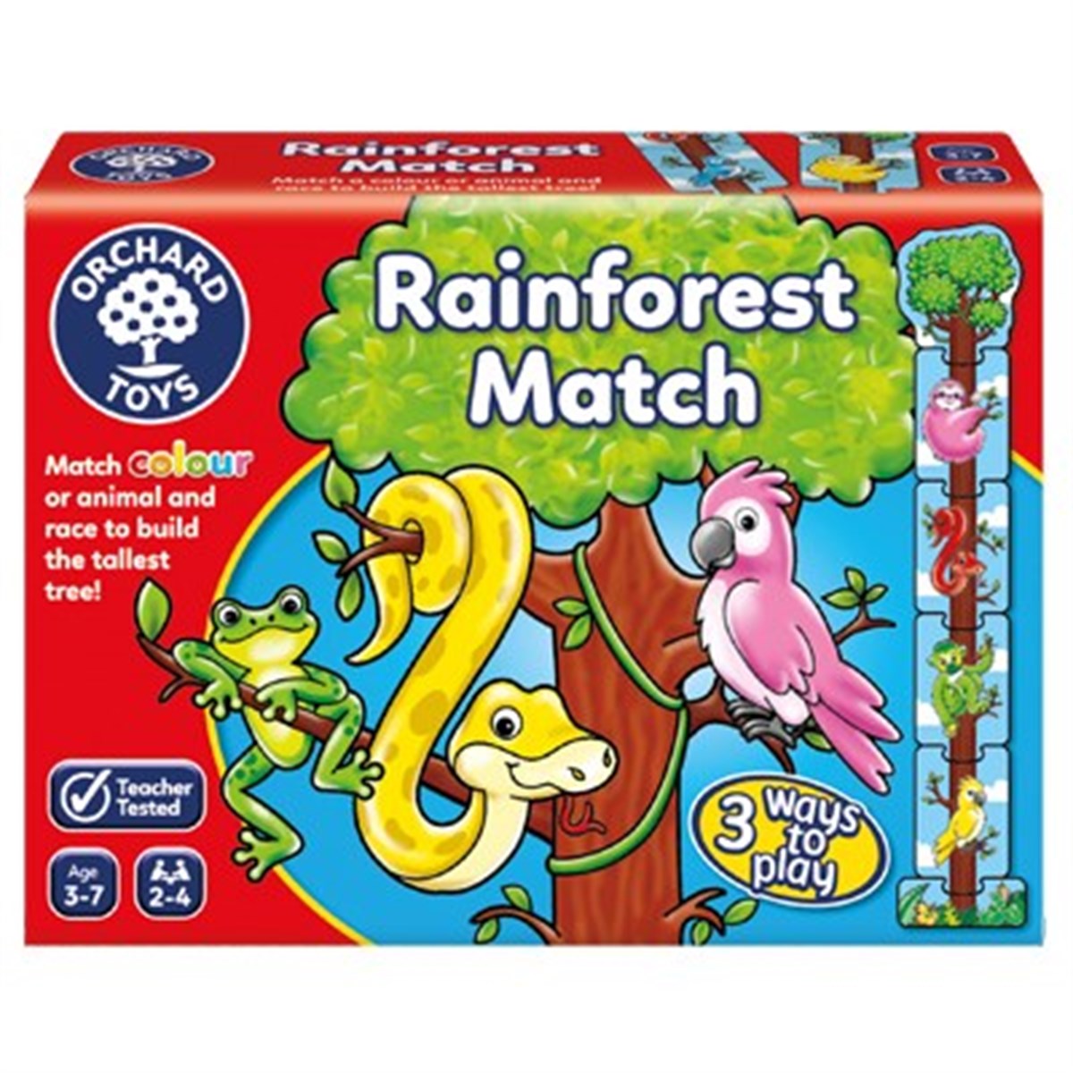 Orchard-Rainforest Match(2-5 yaş)