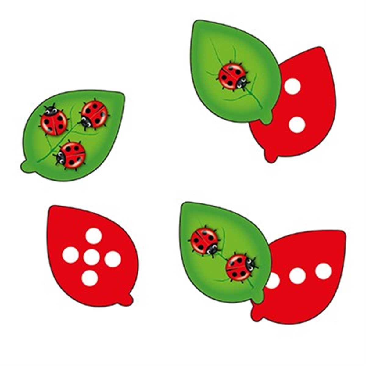Orchard-The Game of Ladybird (3-7 yaş)