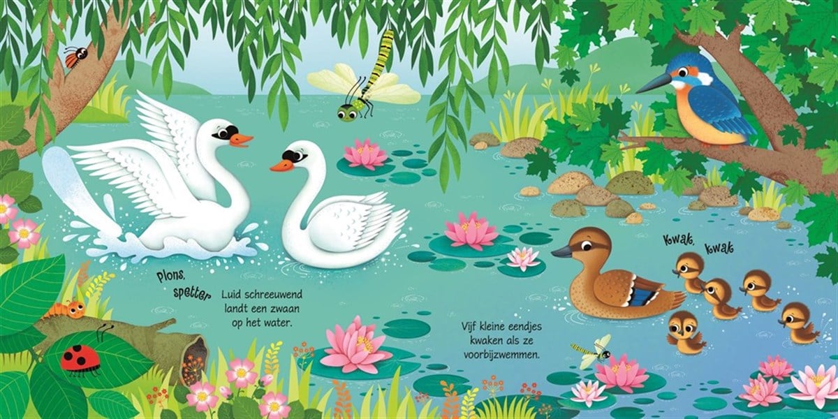 Usborne-Bird Sounds