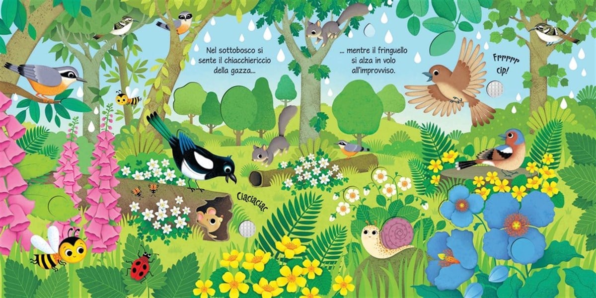 Usborne-Bird Sounds