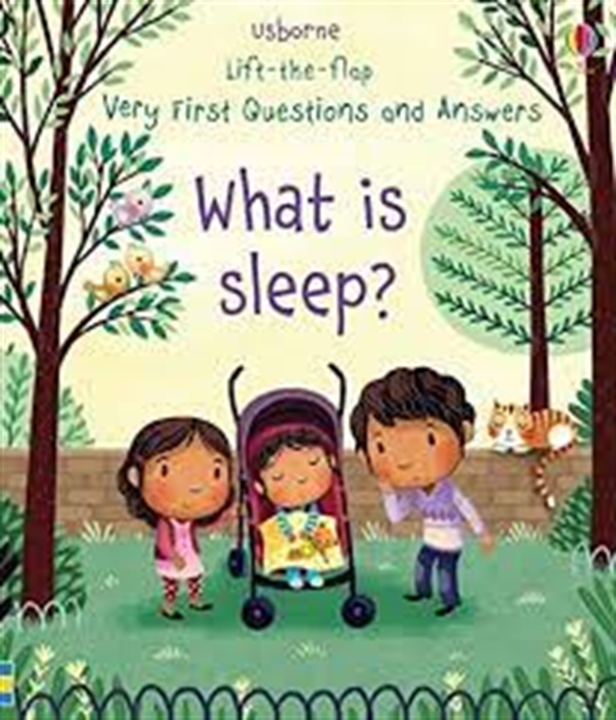 Usborne Ltf  Very First Q&A What is Sleep?