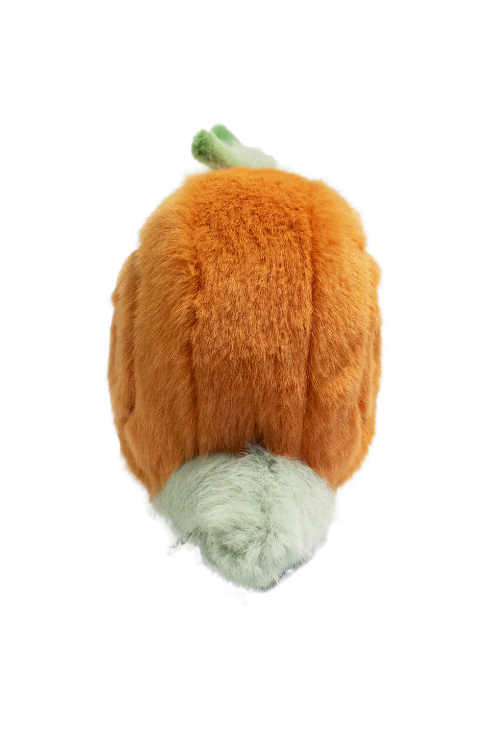 Wild&Soft-Garden Friedns-Salyangoz