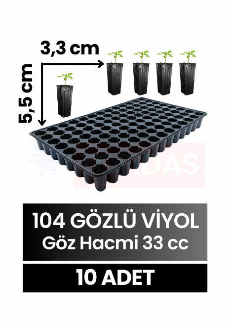 104 Göz Fide Viyolü 10 adet