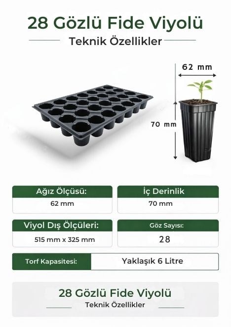 28 Göz 25 adet Fide Viyolü 