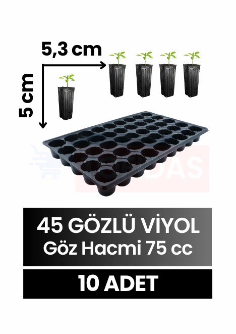 45 Göz Fide Viyolü 10 adet