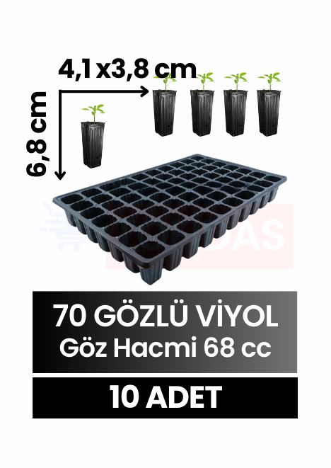 70 Göz Fide Viyolü 10 adet