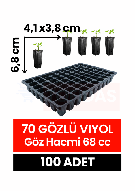 70 Göz Fide Viyolü 100 adet