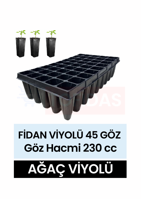 AĞAÇ FİDAN VİYOLÜ 45 GÖZ FİDAN  VİYOLÜ