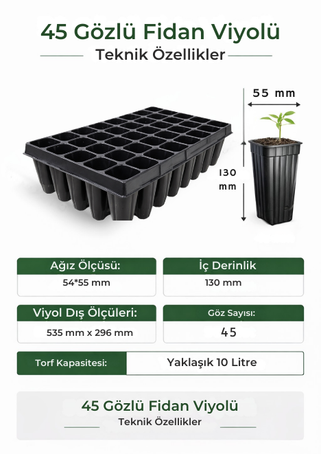 AĞAÇ FİDAN VİYOLÜ 45 GÖZ FİDAN  VİYOLÜ
