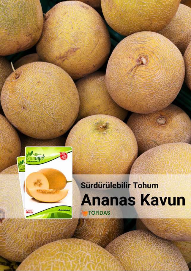 Ananas Kavun Tohumu 5 gr