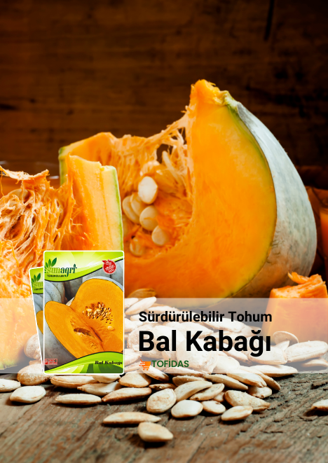 Bal Kabağı Tohumu 10 g
