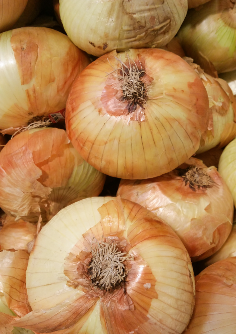 Banko Soğan Tohumu 5 gr tohum