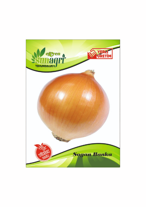 Banko Soğan Tohumu 5 gr tohum