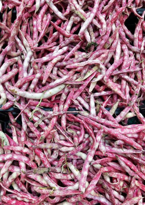 Barbunya Tohumu 25 gr