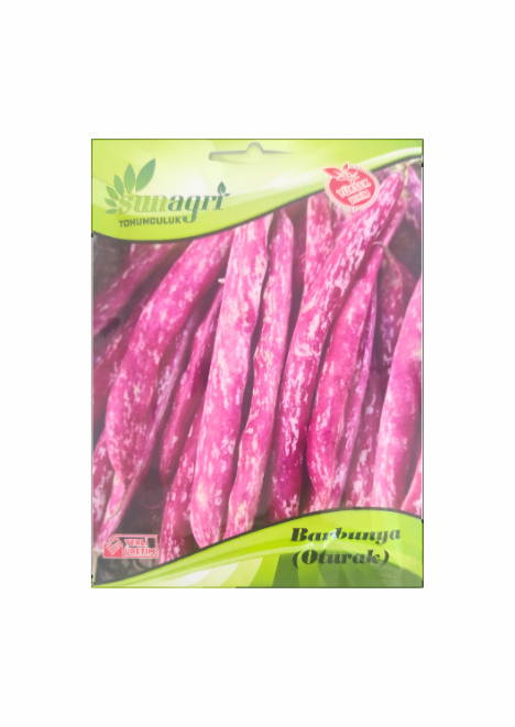 Barbunya Tohumu 25 gr