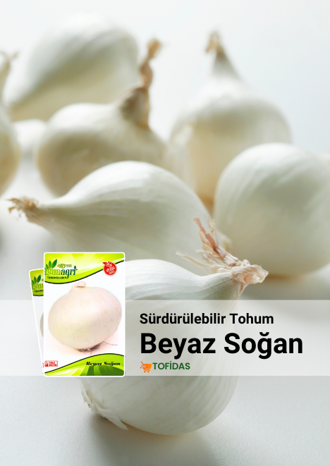 Beyaz Soğan Tohumu 2 gr