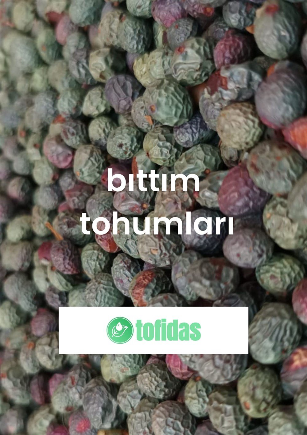 Bıttım Tohumu