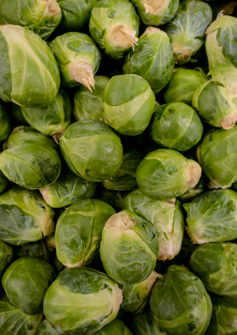 Bürüksel Lahanası 105 adet