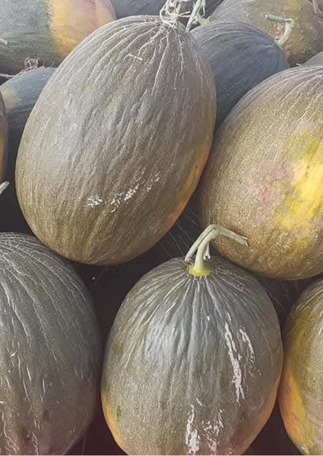 Çikolata Kavun Tohumu 5 gr