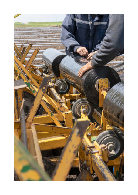 Çilek Malç Naylonu 130 cm en 20 M Uzunluk 80 Mikron