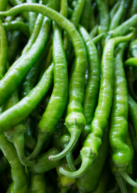 Çorbacı Sarı Sivri Biber Tohumu 5 gr