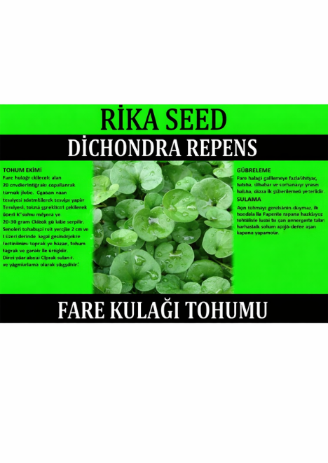 Fare Kulağı Tohumu (Dichondra Repens)1 Kg 