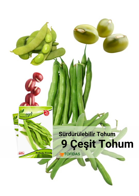 Fasulye Tohumları 9 Çeşit 