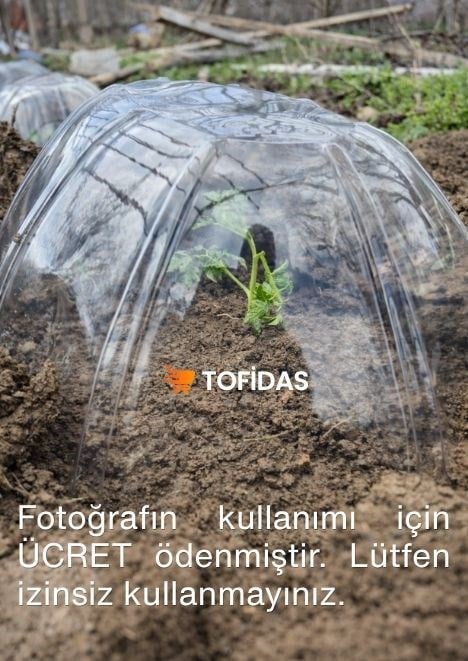 Fide Şapkası Mini Sera