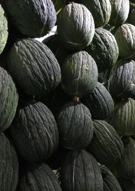 Hasanbey Kavunu Tohumu 5 gr