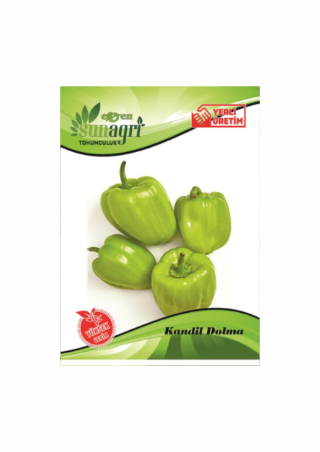 Kandil Dolma Biber Tohumu 5 gr