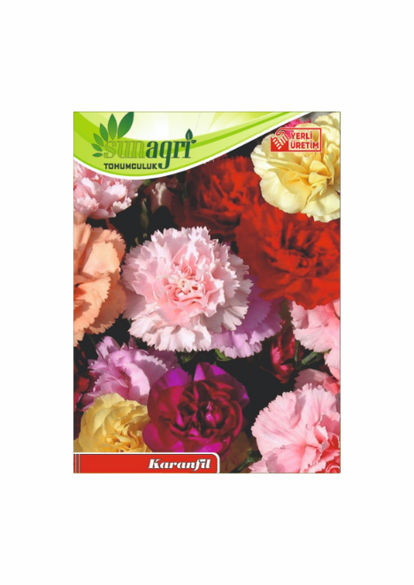 Karanfil Tohumu 5 adet tohum