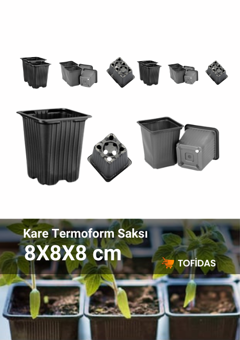 Kare Saksı 8x8x8 Termoform saksı
