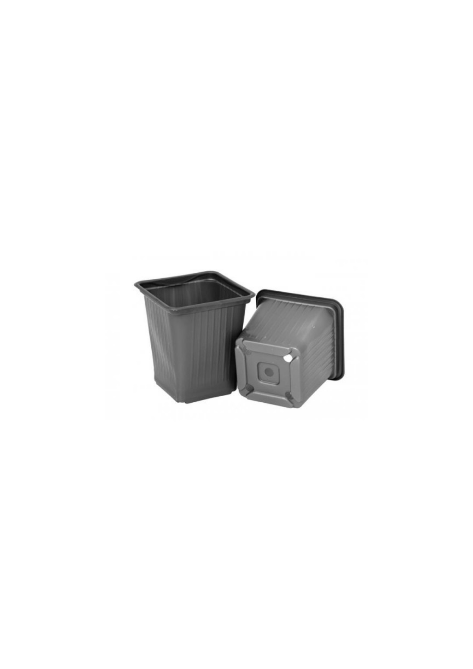 Kare Saksı 8x8x9 Termoform Viyol 25 adet