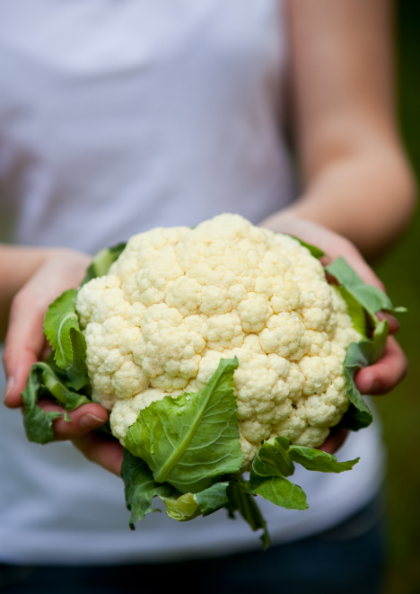 Karnabahar Tohumu 105 adet