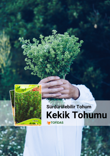 Kekik Tohumu 100 adet