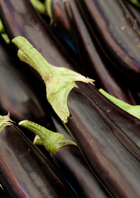 Kemer Patlıcan Tohumu 5 gr