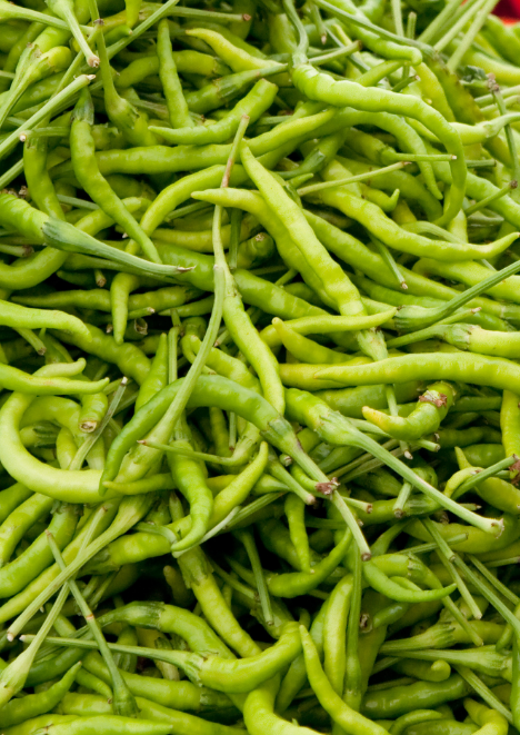 Kıl Acı Biber Tohumu 5 gr