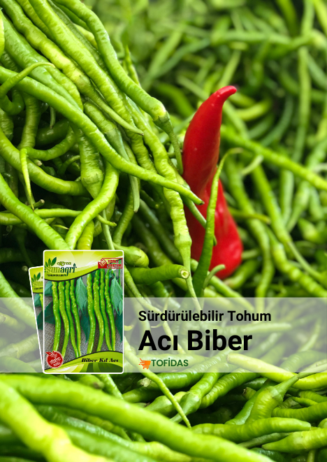 Kıl Acı Biber Tohumu 5 gr