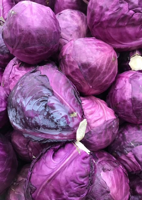 Kırmızı Lahana Tohumu 5 gr