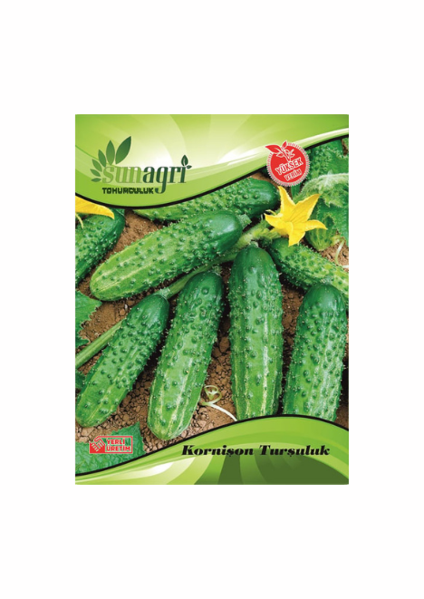 Kornişon Turşuluk Salatalık 3 gr