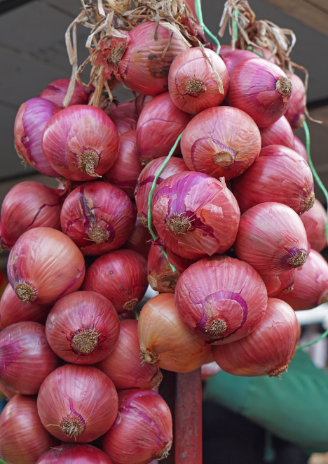 Mor Soğan Tohumu 2 gr