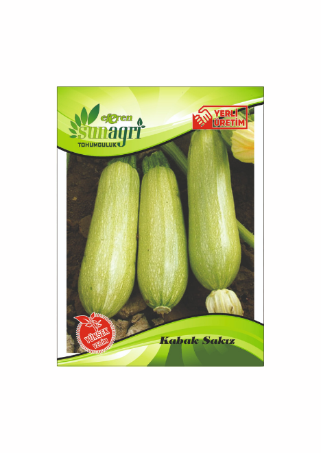 Sakız Kabak Tohumu 10 g