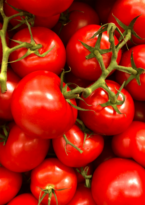 Salkım Domates Tohumu 5 gr