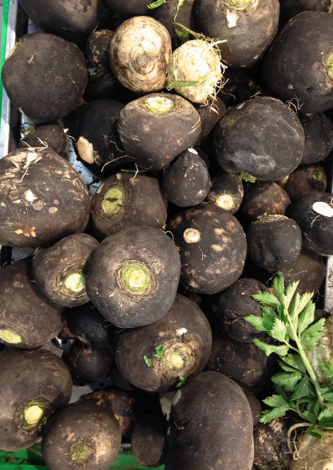 Siyah Turp Tohumu 10 gr