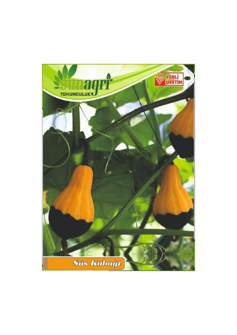 Süs Kabağı Tohumu