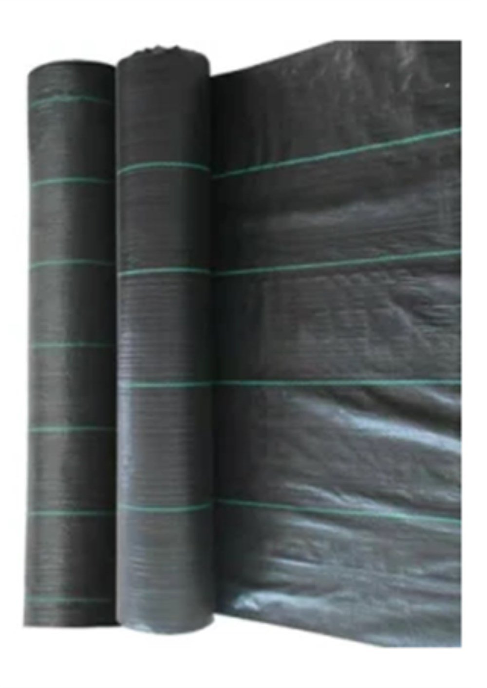 Taban Örtüsü 5 Metre Eninde
