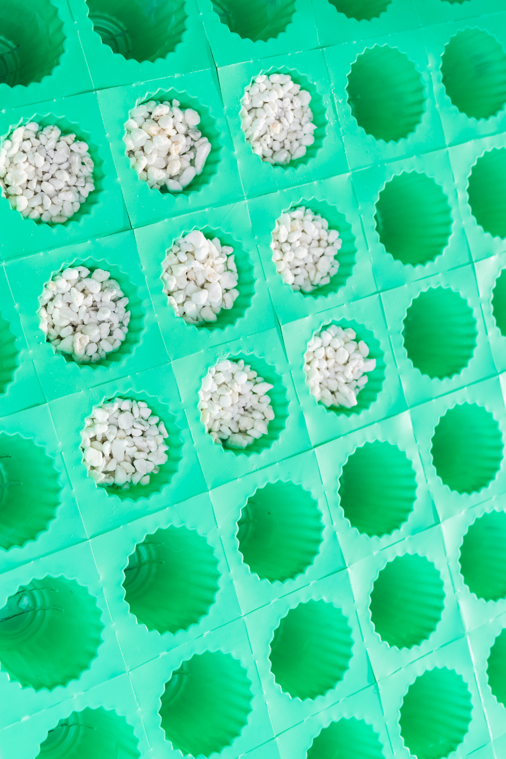 Tarım Perliti 20 litre