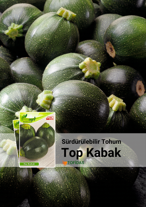Top Kabak Tohumu 10 Adet Tohum