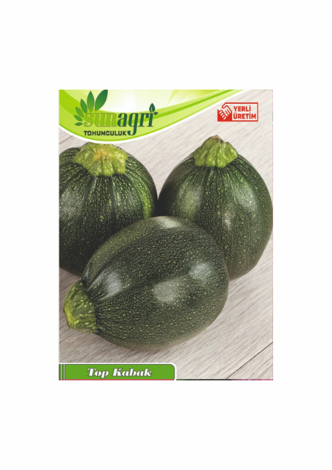 Top Kabak Tohumu 10 Adet Tohum